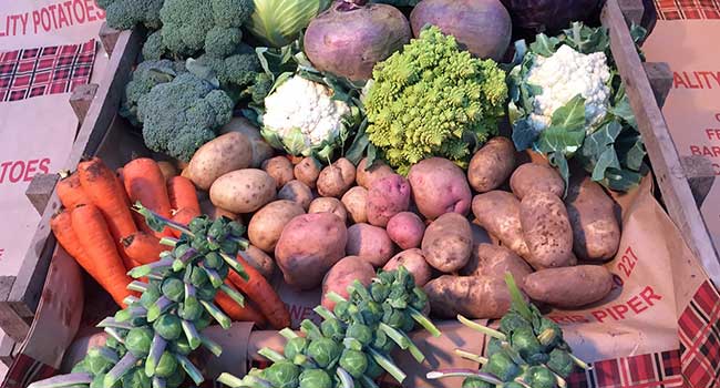 Seasonal Vegetables Crop - Barsolus Produce